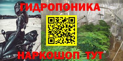 сатива Заволжье