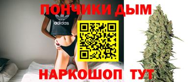 mdpv Дубна